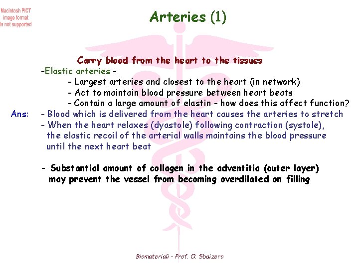 Arteries (1) Ans: Carry blood from the heart to the tissues -Elastic arteries -