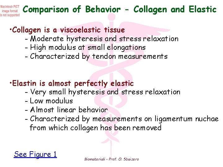 Comparison of Behavior - Collagen and Elastic • Collagen is a viscoelastic tissue -