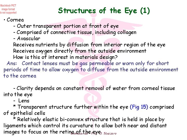 Structures of the Eye (1) • Cornea - Outer transparent portion at front of