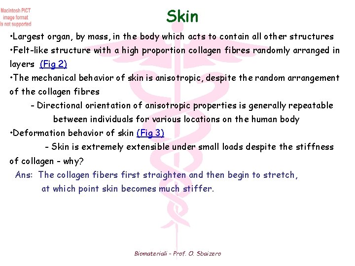 Skin • Largest organ, by mass, in the body which acts to contain all