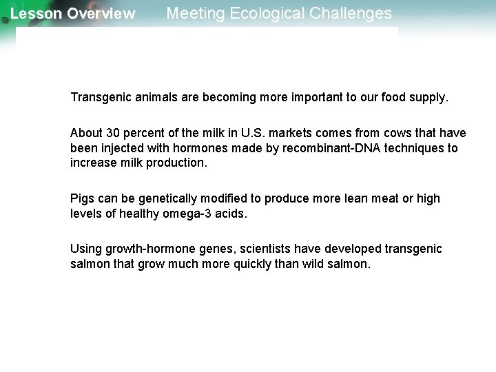 Lesson Overview Meeting Ecological Challenges GM Animals Transgenic animals are becoming more important to