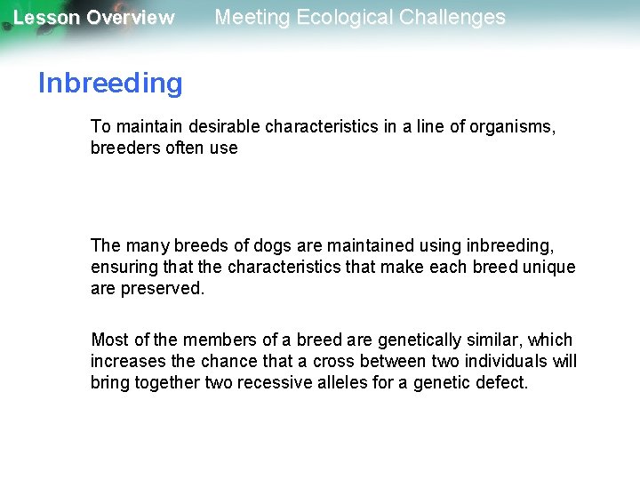 Lesson Overview Meeting Ecological Challenges Inbreeding To maintain desirable characteristics in a line of