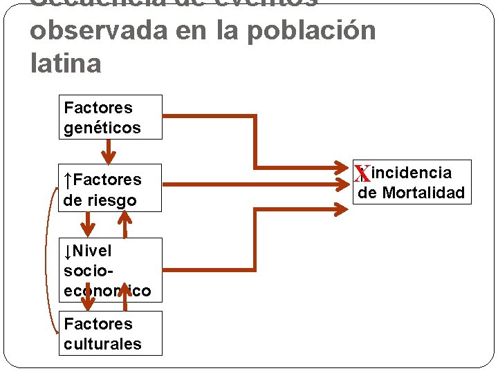 Secuencia de eventos observada en la población latina Factores genéticos ↑Factores de riesgo ↓Nivel Secuencia de eventos observada en la población latina Factores genéticos ↑Factores de riesgo ↓Nivel