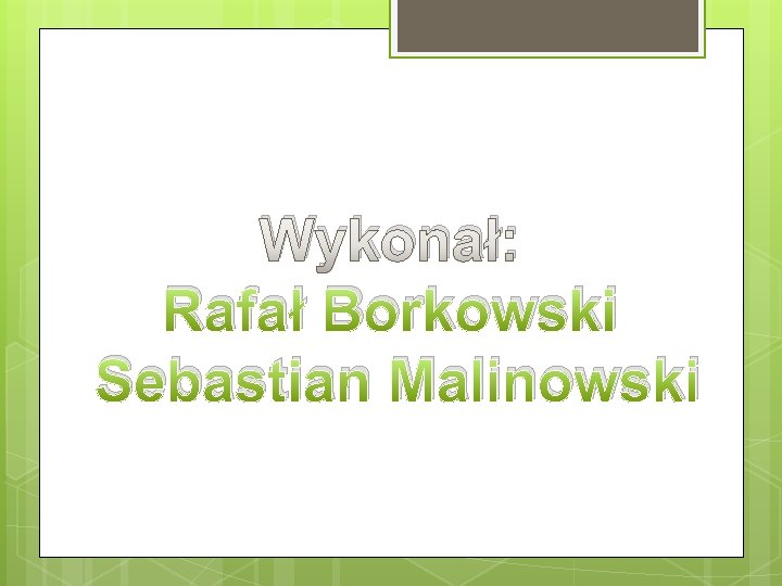 Wykonał: Rafał Borkowski Sebastian Malinowski 