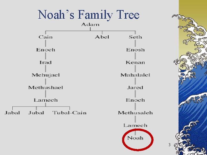 Noah’s Family Tree 3 