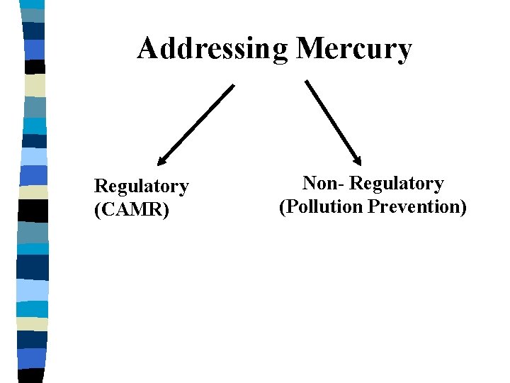 Addressing Mercury Regulatory (CAMR) Non- Regulatory (Pollution Prevention) 