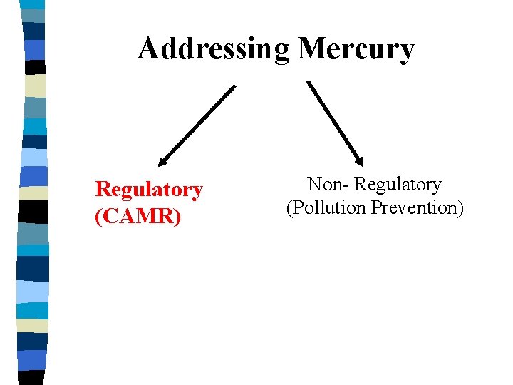 Addressing Mercury Regulatory (CAMR) Non- Regulatory (Pollution Prevention) 