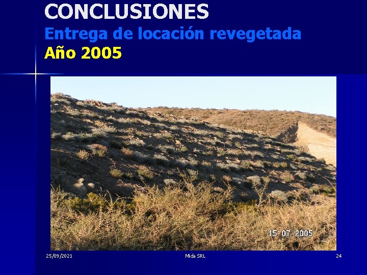 CONCLUSIONES Entrega de locación revegetada Año 2005 25/09/2021 Mida SRL 24 