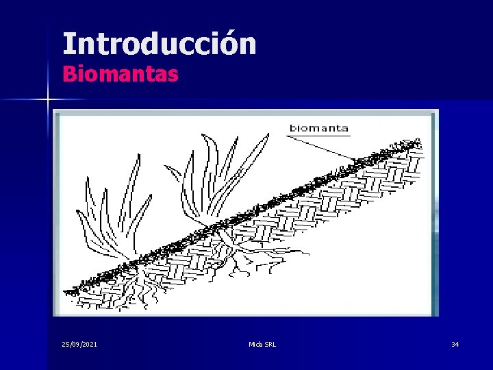 Introducción Biomantas 25/09/2021 Mida SRL 34 