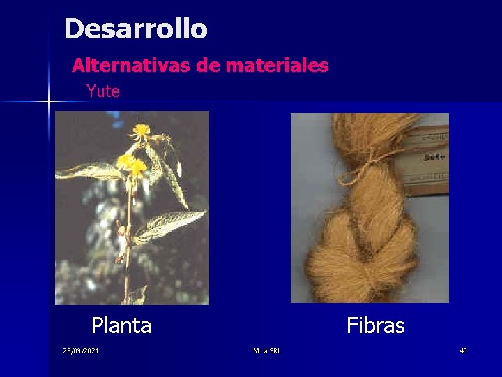 Desarrollo Alternativas de materiales Yute Planta 25/09/2021 Fibras Mida SRL 40 