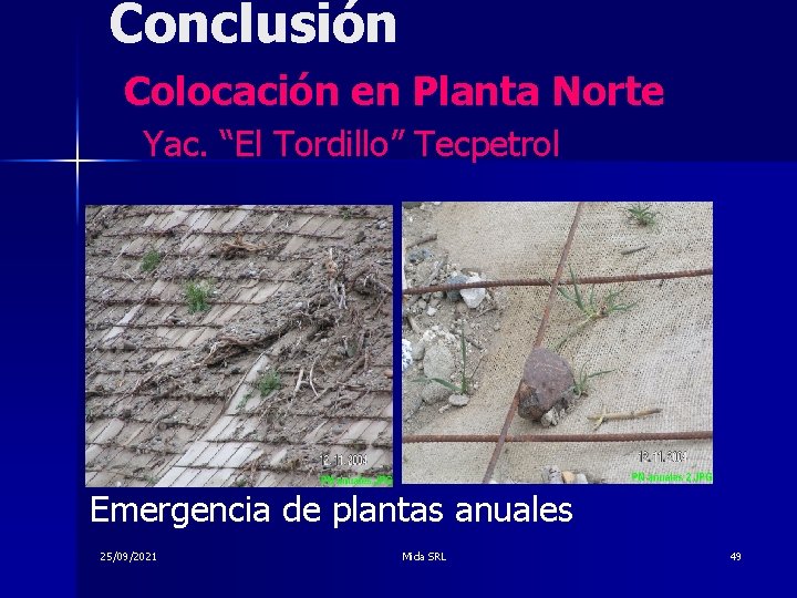 Conclusión Colocación en Planta Norte Yac. “El Tordillo” Tecpetrol Emergencia de plantas anuales 25/09/2021
