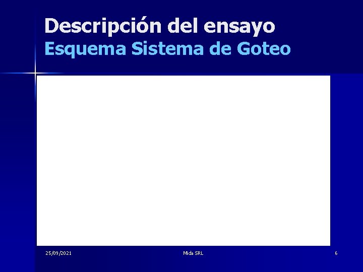 Descripción del ensayo Esquema Sistema de Goteo 25/09/2021 Mida SRL 6 