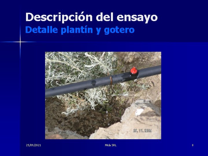 Descripción del ensayo Detalle plantín y gotero 25/09/2021 Mida SRL 8 