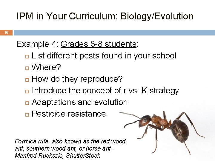 IPM in Your Curriculum: Biology/Evolution 16 Example 4: Grades 6 -8 students: List different