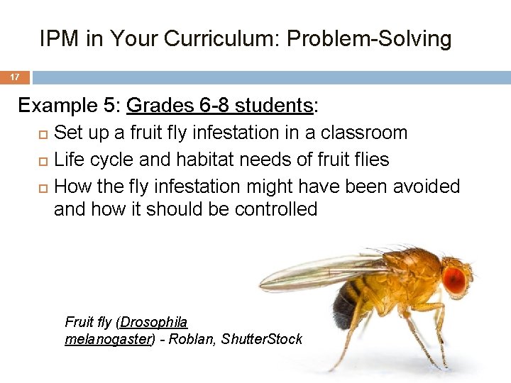 IPM in Your Curriculum: Problem-Solving 17 Example 5: Grades 6 -8 students: Set up