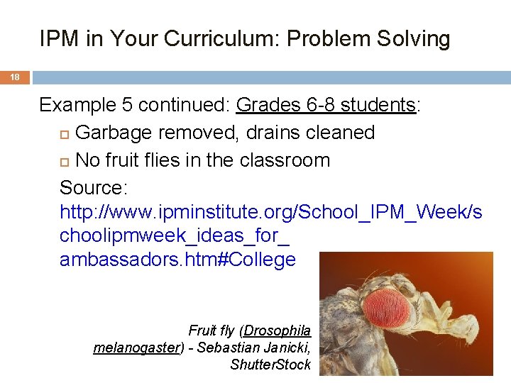 IPM in Your Curriculum: Problem Solving 18 Example 5 continued: Grades 6 -8 students: