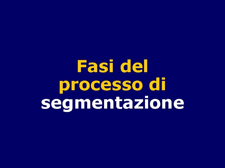Fasi del processo di segmentazione 