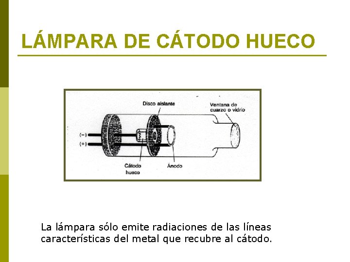 LÁMPARA DE CÁTODO HUECO La lámpara sólo emite radiaciones de las líneas características del