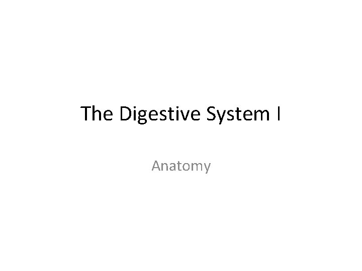 The Digestive System I Anatomy 