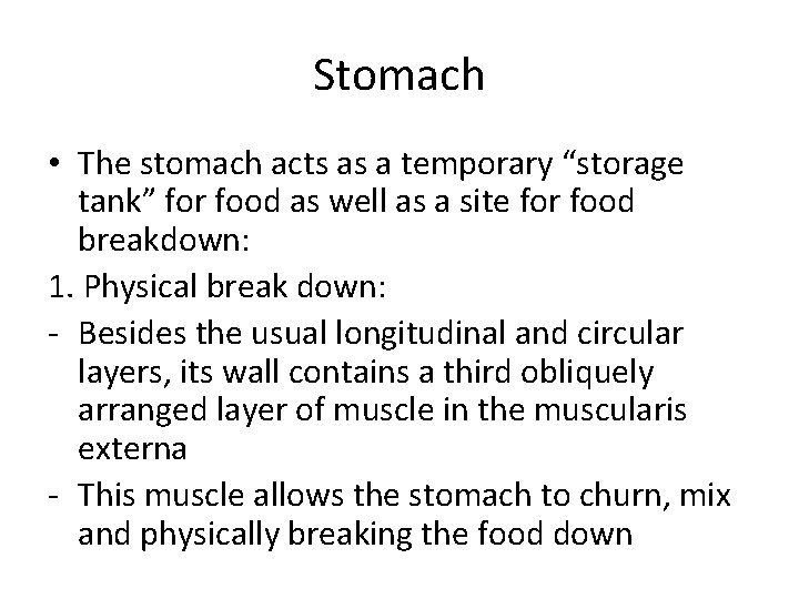 Stomach • The stomach acts as a temporary “storage tank” for food as well
