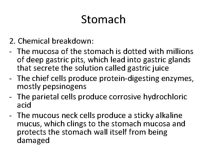 Stomach 2. Chemical breakdown: - The mucosa of the stomach is dotted with millions