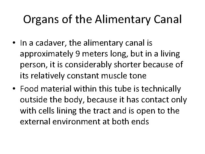 Organs of the Alimentary Canal • In a cadaver, the alimentary canal is approximately