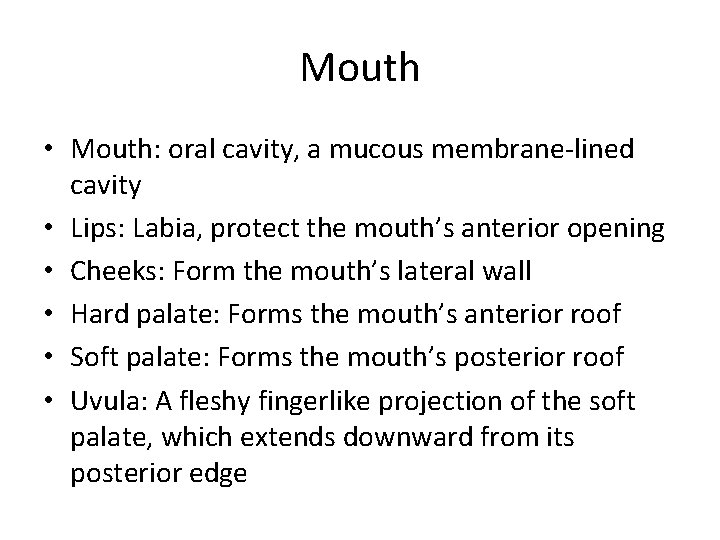 Mouth • Mouth: oral cavity, a mucous membrane-lined cavity • Lips: Labia, protect the