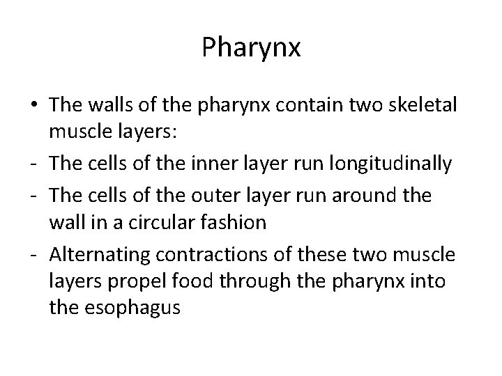 Pharynx • The walls of the pharynx contain two skeletal muscle layers: - The