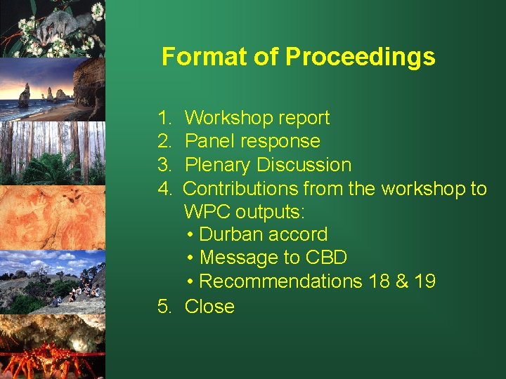 Format of Proceedings 1. 2. 3. 4. Workshop report Panel response Plenary Discussion Contributions