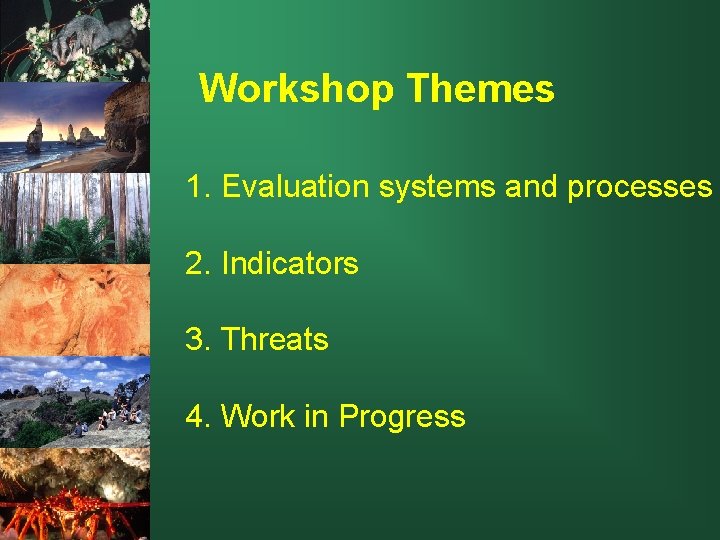 Workshop Themes 1. Evaluation systems and processes 2. Indicators 3. Threats 4. Work in