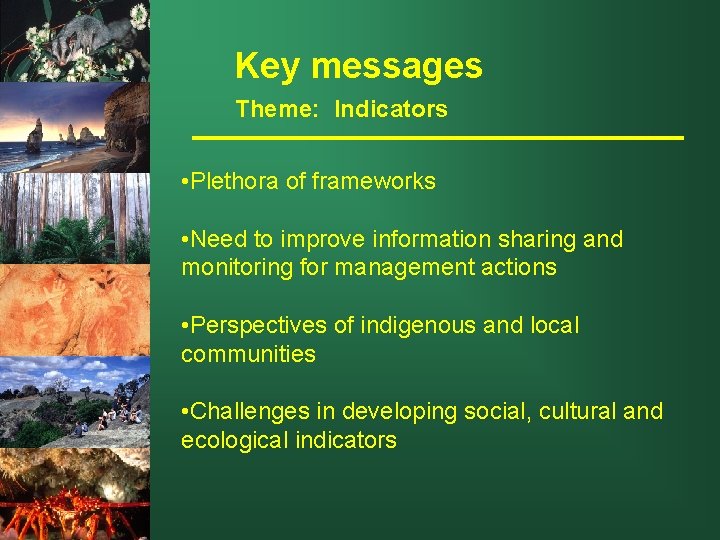 Key messages Theme: Indicators • Plethora of frameworks • Need to improve information sharing