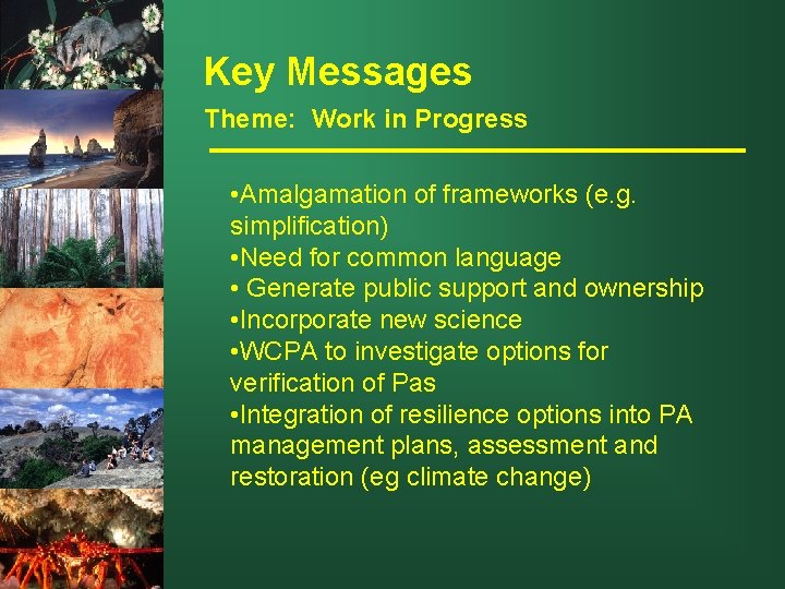 Key Messages Theme: Work in Progress • Amalgamation of frameworks (e. g. simplification) •