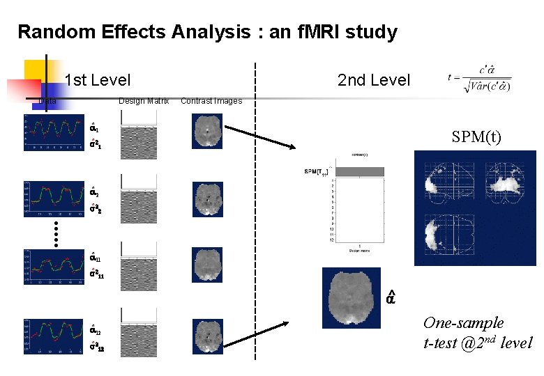 Random Effects Analysis : an f. MRI study 1 st Level Data Design Matrix