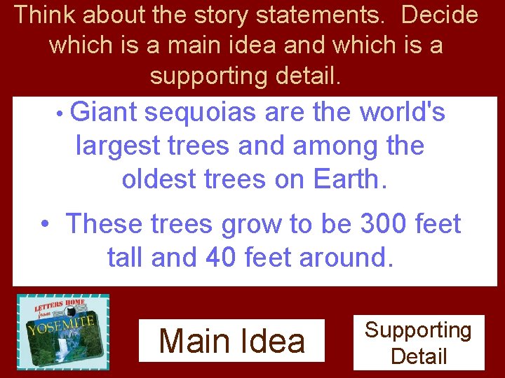 Think about the story statements. Decide which is a main idea and which is