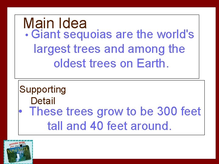 Main Idea • Giant sequoias are the world's largest trees and among the oldest