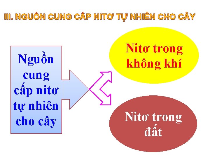 III. NGUỒN CUNG CẤP NITƠ TỰ NHIÊN CHO C Y Nguồn cung cấp nitơ