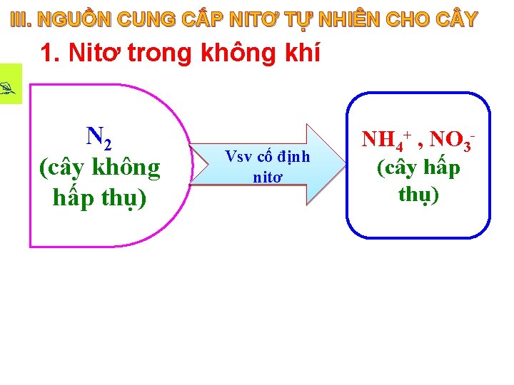 III. NGUỒN CUNG CẤP NITƠ TỰ NHIÊN CHO C Y 1. Nitơ trong không