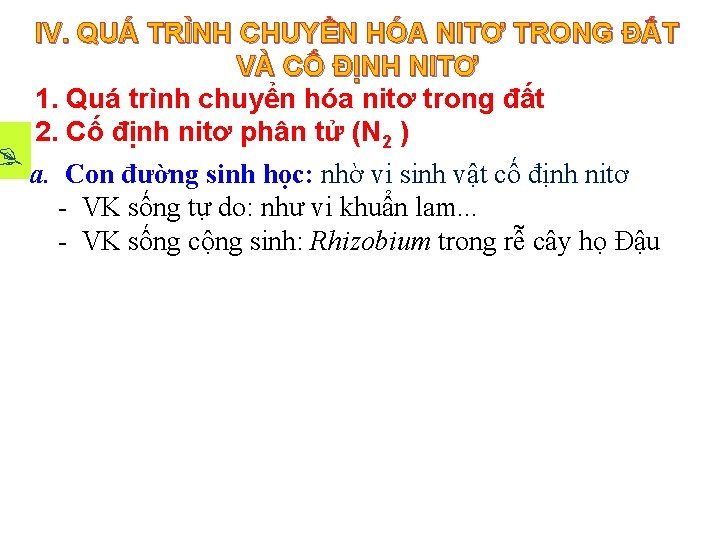 IV. QUÁ TRÌNH CHUYỂN HÓA NITƠ TRONG ĐẤT VÀ CỐ ĐỊNH NITƠ 1. Quá