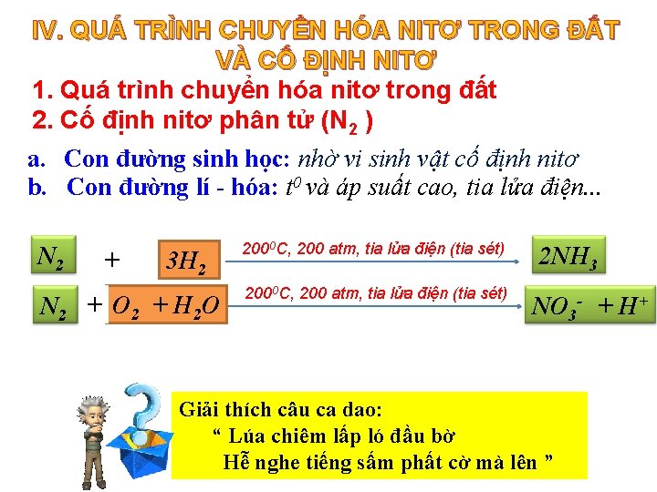 IV. QUÁ TRÌNH CHUYỂN HÓA NITƠ TRONG ĐẤT VÀ CỐ ĐỊNH NITƠ 1. Quá