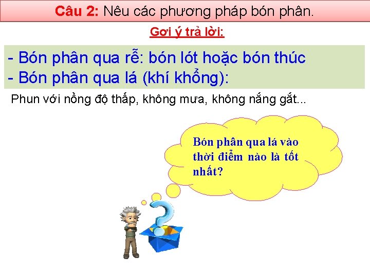 Câu 2: Nêu các phương pháp bón phân. Gợi ý trả lời: - Bón