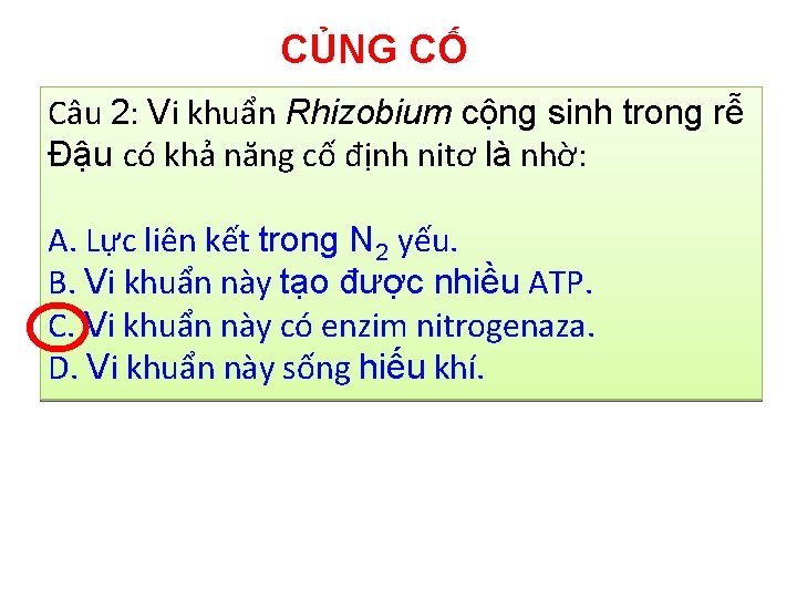 CỦNG CỐ Câu 2: Vi khuẩn Rhizobium cộng sinh trong rễ Đậu có khả