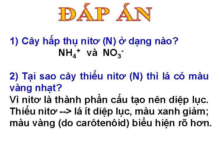 1) Cây hấp thụ nitơ (N) ở dạng nào? NH 4+ và NO 32)