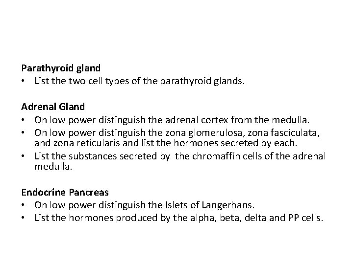Parathyroid gland • List the two cell types of the parathyroid glands. Adrenal Gland