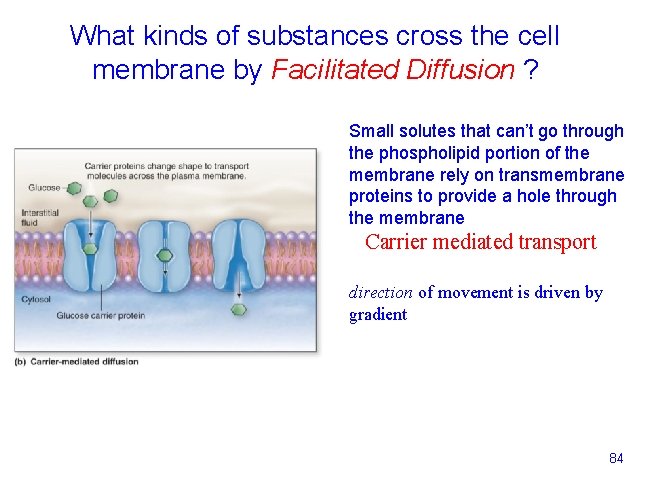 What kinds of substances cross the cell membrane by Facilitated Diffusion ? Small solutes