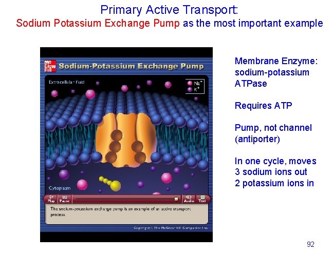 Primary Active Transport: Sodium Potassium Exchange Pump as the most important example Membrane Enzyme: