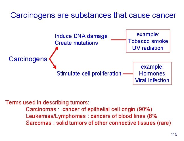 Carcinogens are substances that cause cancer Induce DNA damage Create mutations example: Tobacco smoke