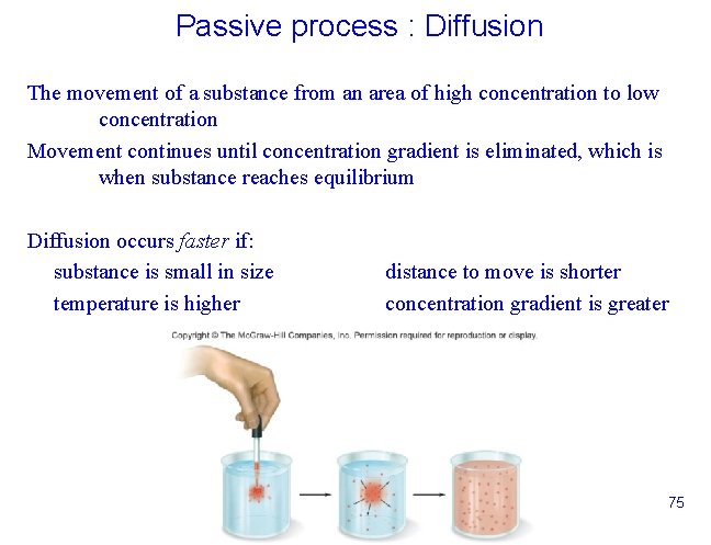 Passive process : Diffusion The movement of a substance from an area of high