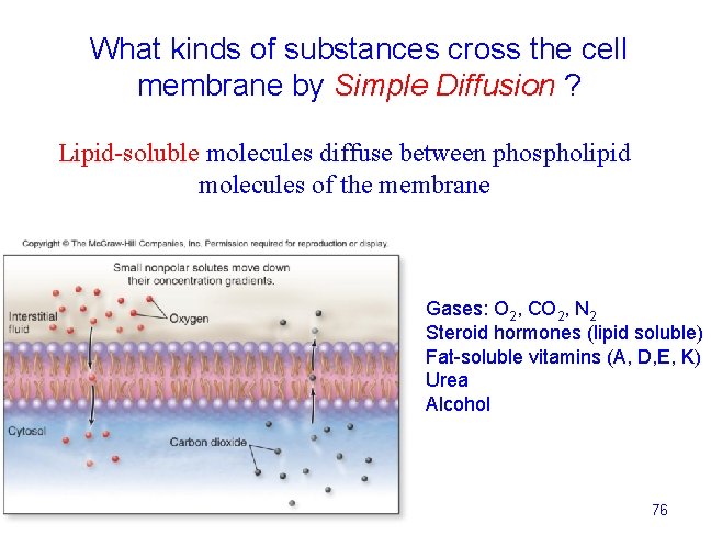 What kinds of substances cross the cell membrane by Simple Diffusion ? Lipid-soluble molecules