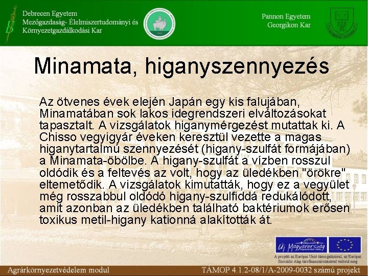 Minamata, higanyszennyezés Az ötvenes évek elején Japán egy kis falujában, Minamatában sok lakos idegrendszeri