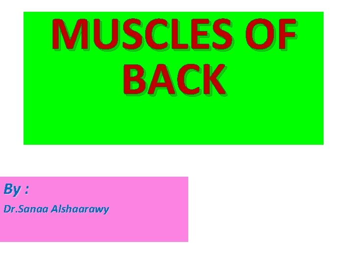 MUSCLES OF BACK By : Dr. Sanaa Alshaarawy 